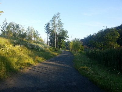 SUNY Albany Running Trail