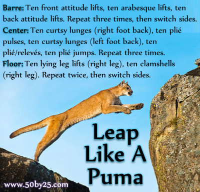 Leap Like A Puma Bodyweight Barre Workout