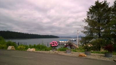 View From Library