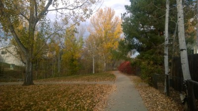 Then after a long slow uphill and some beautiful homes, you take a little trail back that sneaks between the houses and has some beautiful foliage.