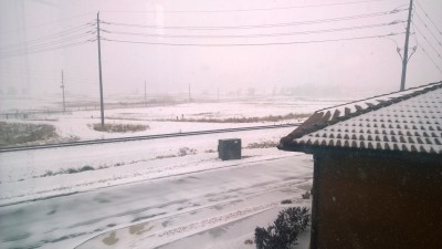 Snowy Backyard