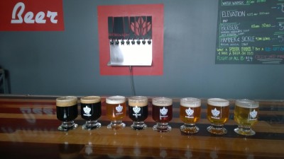 DXBT: Renegade Brewing Flight