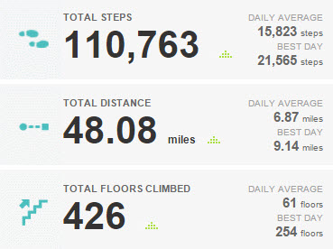 Fitbit_Challenge_Totals_March_14