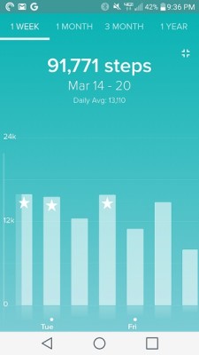 Fitbit_Challenge_Totals_March_21