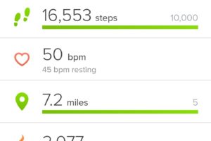 Fitbit_Airport_Steps