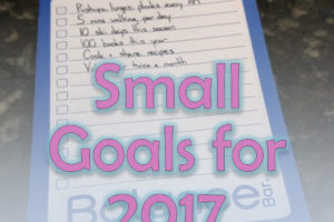 small_goals_for_2017