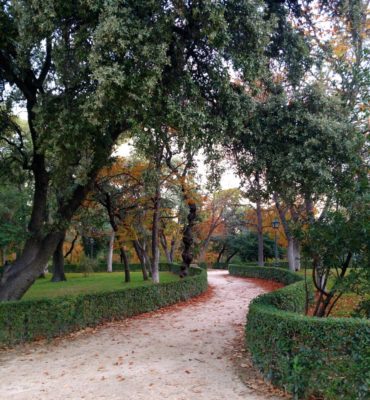 Changing_Leaves_in_El_Retiro