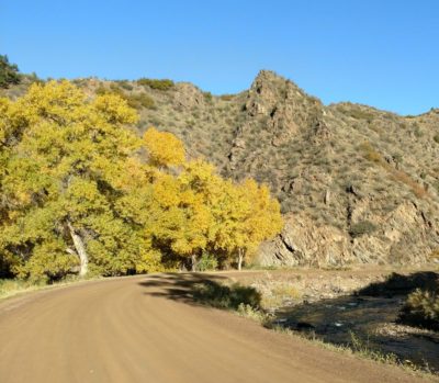 Fall_Colors_Waterton_Canyon