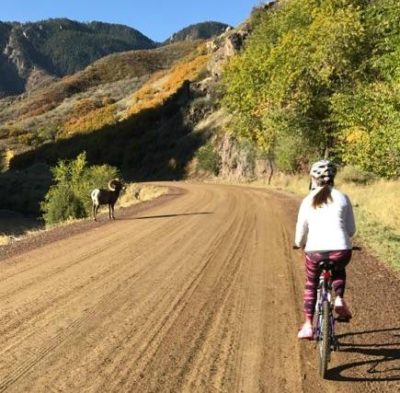 Laura_Biking_to_Waterton_Canyon_Sheep