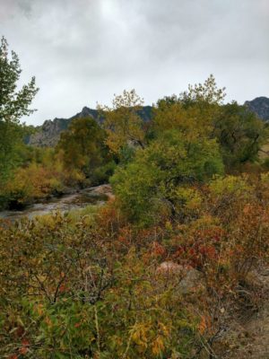 South_Mesa_Trailhead_Fall_Colors