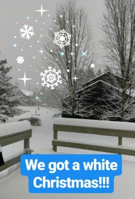White_Christmas_Saratoga
