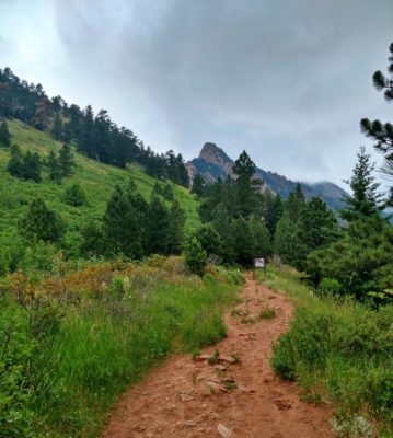 Rattlesnake_Gulch_Trail