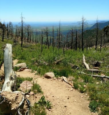 Saddle_of_Bear_and_Boulder_Peak