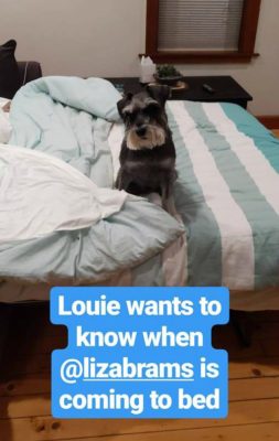 Louie_Bedtime