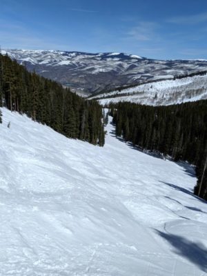 Screech_Owl_Spring_Skiing