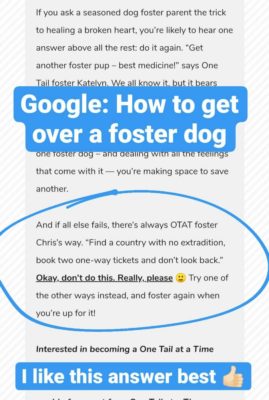 How_To_Get_Over_Foster