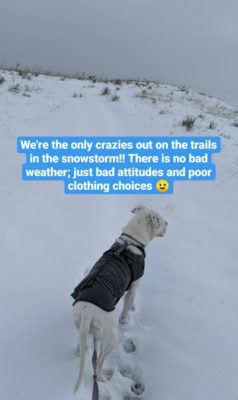 Snowy_Trail_Walk_with_Sesame