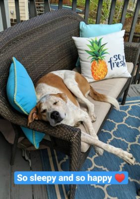 Sugar_Napping_Patio