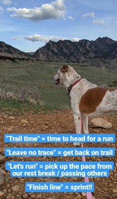 Trail_Time_Sugar_Dog_Commands