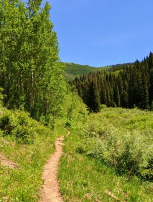 Vail_from_Game_Creek_Trail