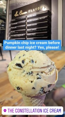 Pumpkin_chip_Ice_Cream