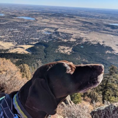 Sadie_Basking_at_Bear_Peak