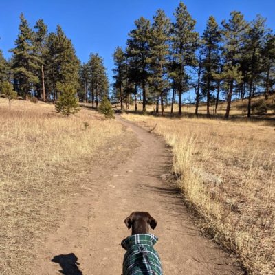 Sadie_on_Mesa_Trail