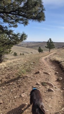 Sadie_Running_Spring_Brook