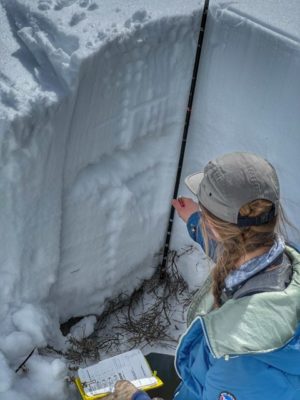 Inspecting_Snow_Layers_in_a_Pit